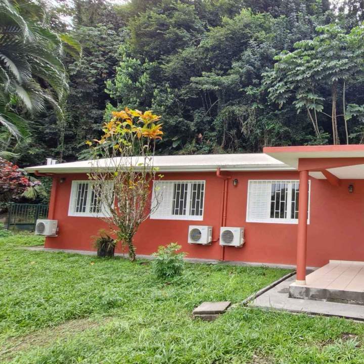 Rénovation et peinture de murs en Martinique